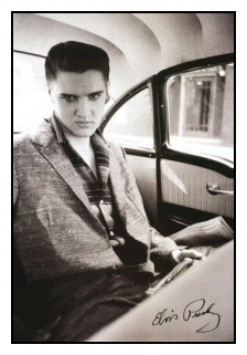 Photos souvenir d'Elvis
